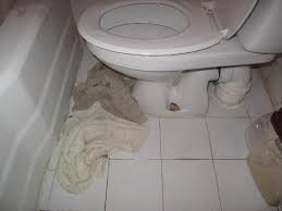 leaking toilet darlington